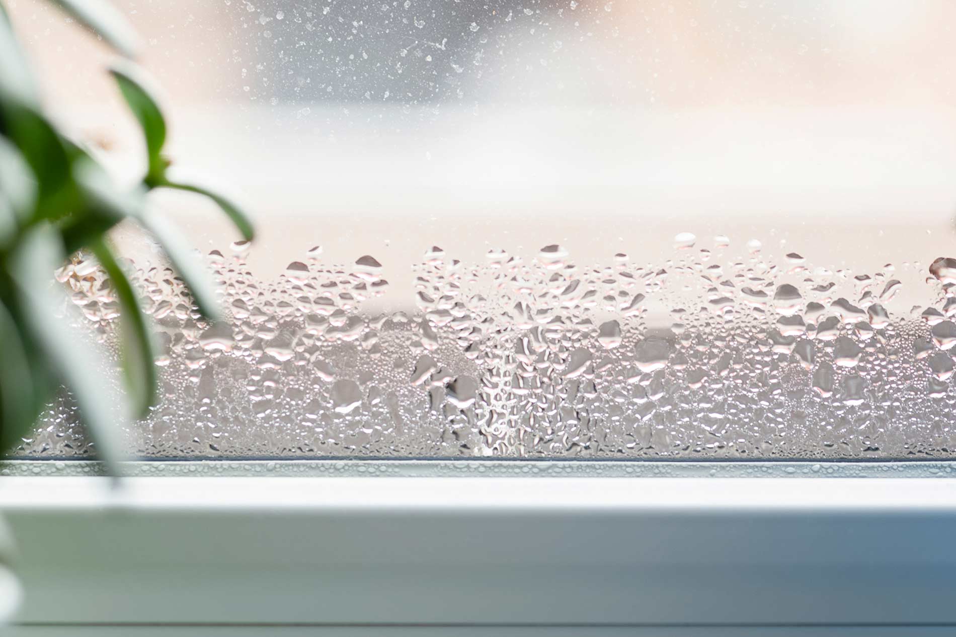 Condensation, mould and ventilation solutions from Drypex